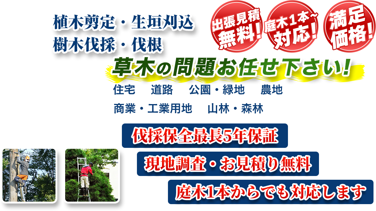 松本市・安曇野市・塩尻市エリア即対応!! 出張無料! 庭木1本~対応! 満足価格! 植木剪定・生垣刈込 樹木伐採・伐根 草木の問題お任せ下さい! 住宅 道路 公園・緑地 農地 商業・工業用他 山林・森林 伐採保全最長5年保証 現地調査・お見積り無料 庭木1本からでも対応します